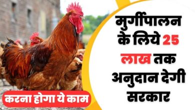 Poultry Farming 2023